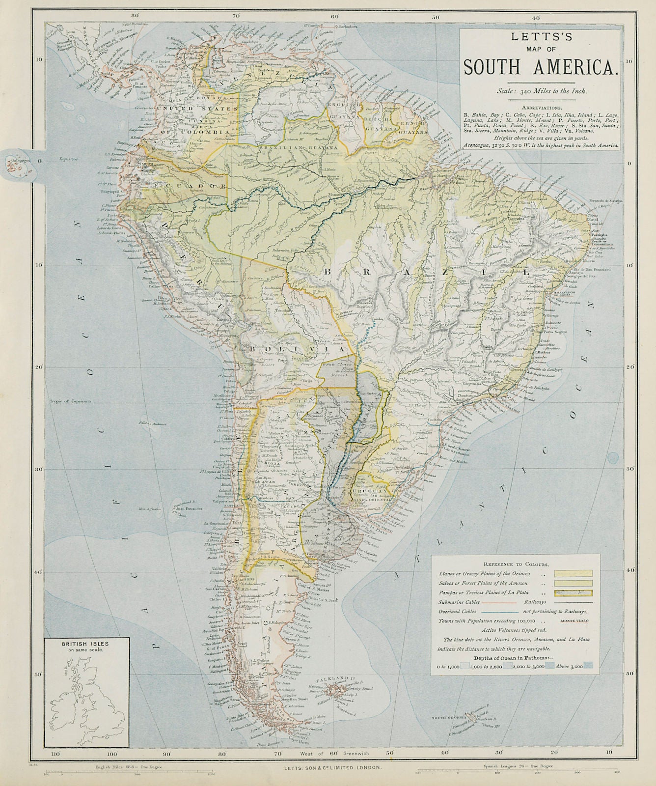 SOUTH AMERICA. Amazon rainforest. Pampas Selvas Llanos. LETTS 1884 old map